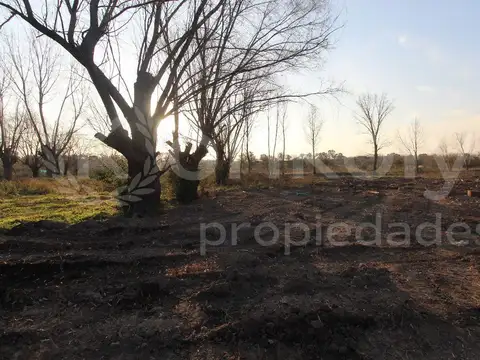 LOTES CON FINANCIACION POLO INDUSTRIAL