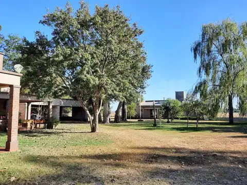 RUTA 20 100