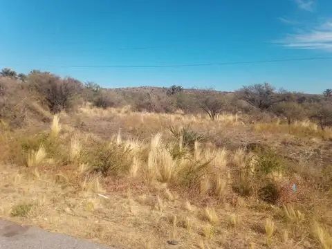 Terreno en Venta en San Fco del Monte de Oro, USD 25.000