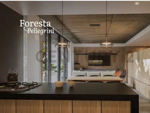 VENTA DE DEPARTAMENTOS EN POZO CON COCHERA Y PILETA