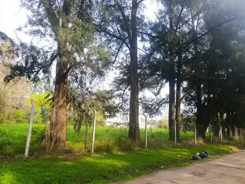 Terreno en Venta 18,15  mts Frente