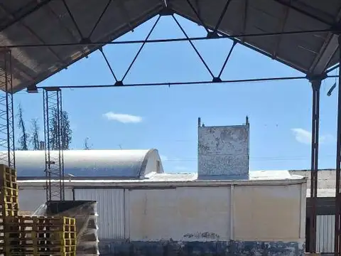 Nueva Mayorga , Piso 0