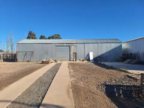 Alquiler de Galpón, Cipolletti