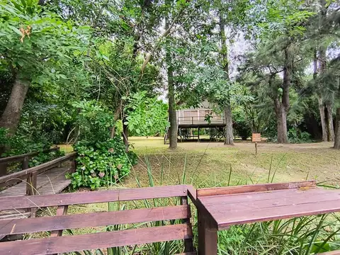 Rio o Arroyo Tres Sargentos Robinson 100