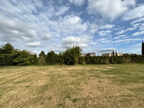 Terreno en Venta de 843,0 m2