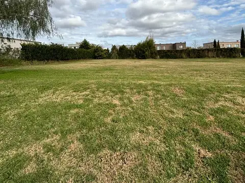 Terreno en Venta, FOT 60