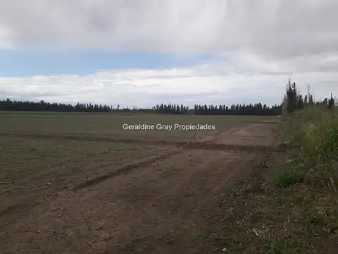 Terreno en Venta en Allen, USD 408.000