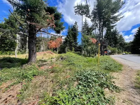 Avenida Exequiel Bustillo 21000