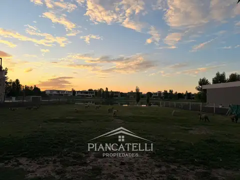 Terreno en Venta en Terravista, USD 345.000