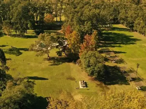 Tres Pinos - Chacras del Oeste