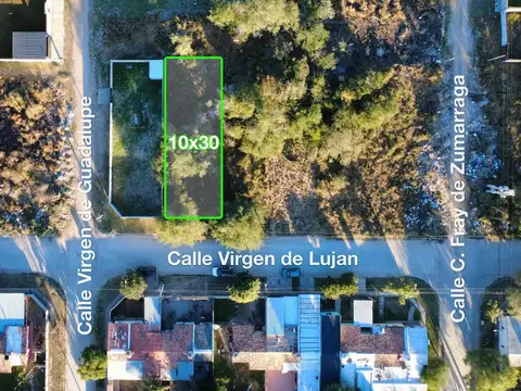 Virgen de Lujan 2700
