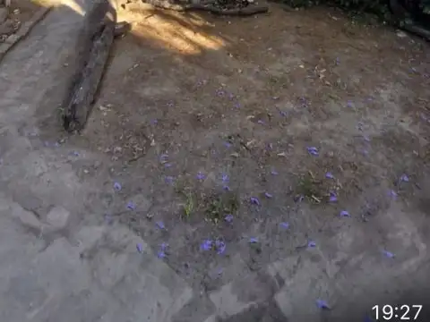 Casa 4 amb con amplio parque y departamento en planta baja de  2 amb  y cocheras, Caseros