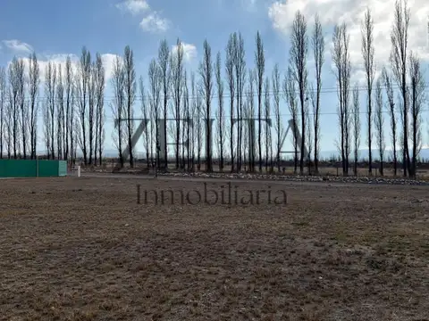 Terreno en Venta en Tupungato, USD 35.000