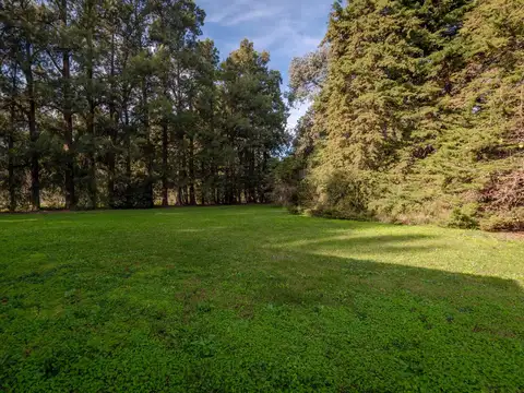 Cañuelas