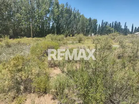 Venta LOTE 10 MZA 10 285,40m² LOTEO AMEDEAPlottier