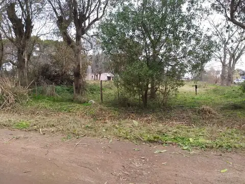 Terreno en Venta de 300,0 m2