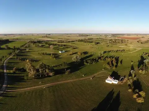 LOTE VENTA PERMUTA FINANCIA MARCOS PAZ (LAS HOJAS)