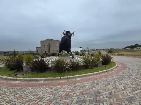 Terreno en Venta de 800,0 m2