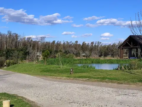 Campo Timbó