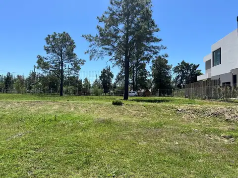 Terreno Lote  en Venta en Laguna Grande, Villanueva, Tigre