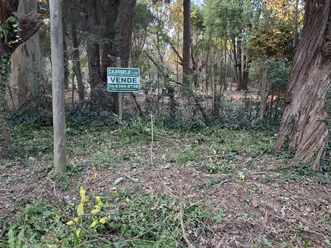 Terreno en Venta en Barrio Parque Altavista, USD 59.000