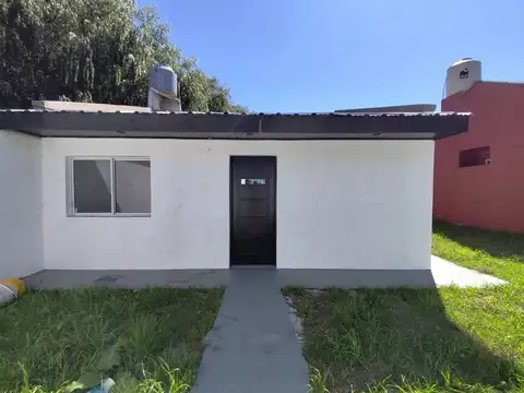 Haras Firmamento 300