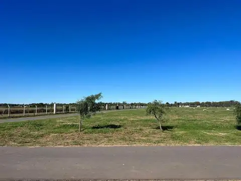 Terreno en Venta en Vida Lagoon, USD 150.000