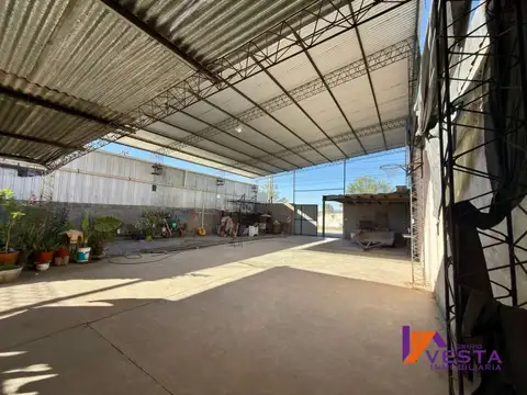 campo quijano 100