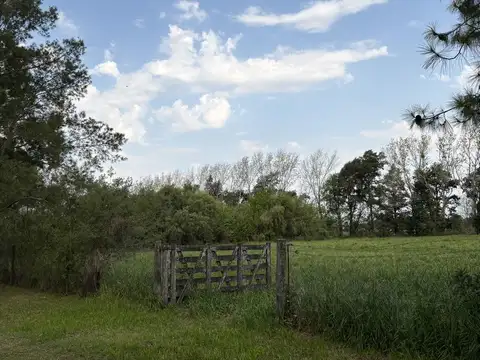 Terreno en Venta 76  mts Fondo