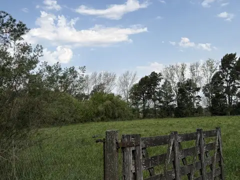 Terreno en Venta de 9637,0 m2