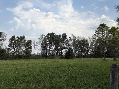 Terreno