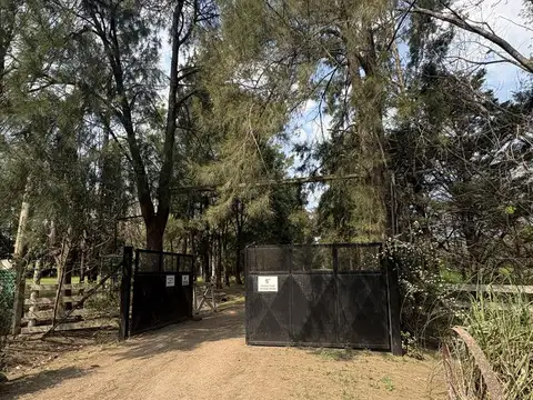 Terreno 