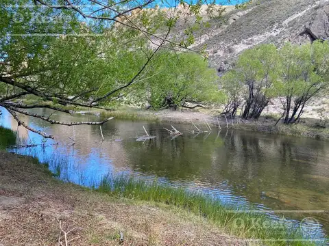 Campo en venta de 635 Has  Bariloche, costa del Pichileufu, Rio Negro.