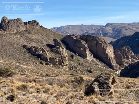 Campo en venta de 635 Has  Bariloche, costa del Pichileufu, Rio Negro