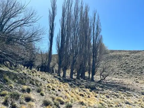 Campo en venta de 635 Has  Bariloche, costa del Pichileufu, Rio Negro.