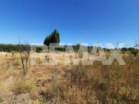 Chacra 100