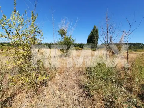 VENTA DE PARCELA EN CHACRA 63 ALLEN, RÍO NEGRO
