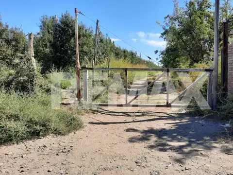 Chacra 100