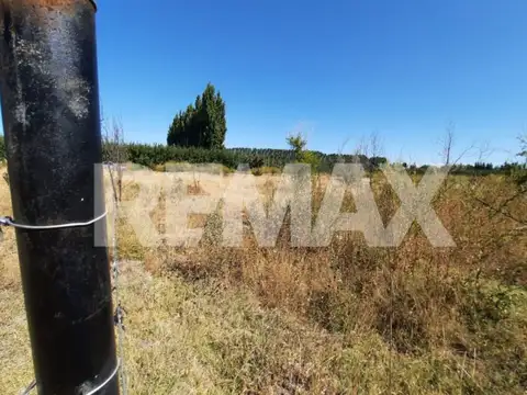 Terreno en Venta en Allen, USD 12.000