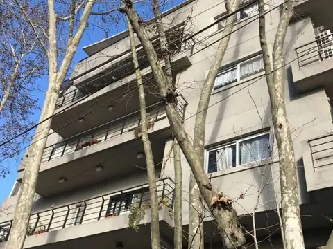 AVELLANEDA 400