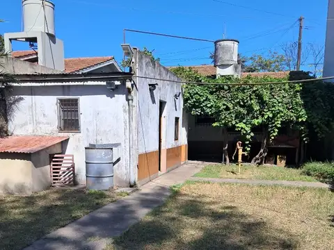 Florencio Ameghino 100