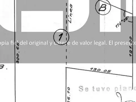 Camino de los Flamengos