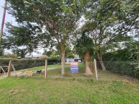 San Martin entre calle Belgrano y Av. Villa de la Ribera.