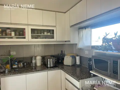 Entre Pinos 1 59