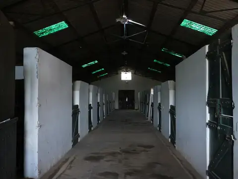 Ruta 8 Km 84, Haras El Malacate Club De Campo, Exaltación de la Cruz, Provincia de Buenos Aires