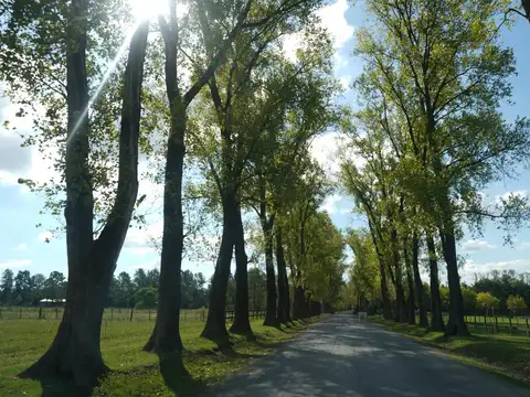Viví rodeado de naturaleza en un exclusivo Haras de 212 hectáreas | Lote en venta de 5.000 m²
