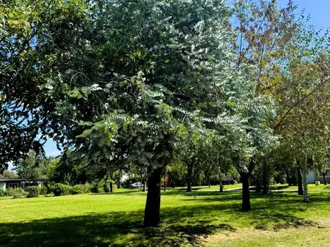 Terreno en Venta de 1000,0 m2