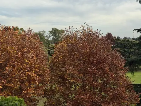 Monoambiente con vista al golf