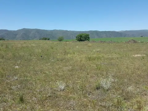 Terreno en Venta 11  mts Frente