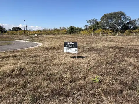 Terreno en Venta 53  mts Frente